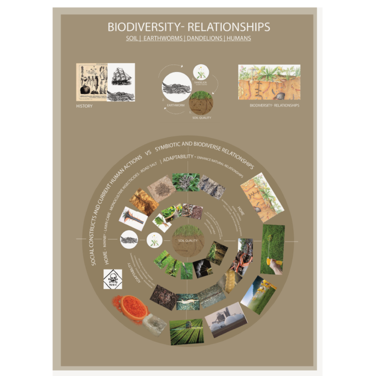 Holistic_worm_dandelion_human biorelationship