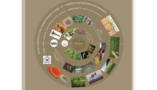 SOIL – Bio-Systems Visual Study and Story